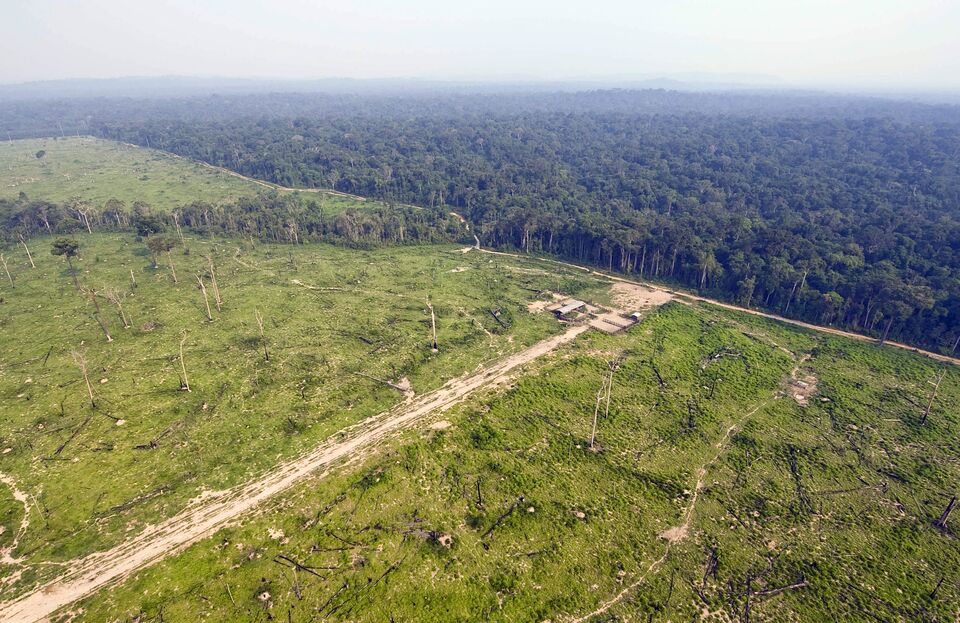 Brazil Tells the World: The Amazon Rainforest Is Ours, Not Yours ...