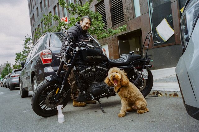 Goldendoodle yawns next to a motorcycle on the street in Brooklyn, New York.
