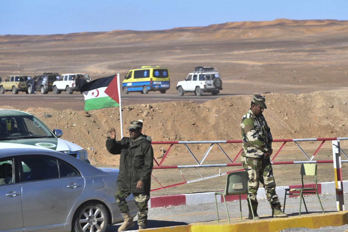 Rebels Vow to Ramp Up Fight Against Morocco Over Western Sahara