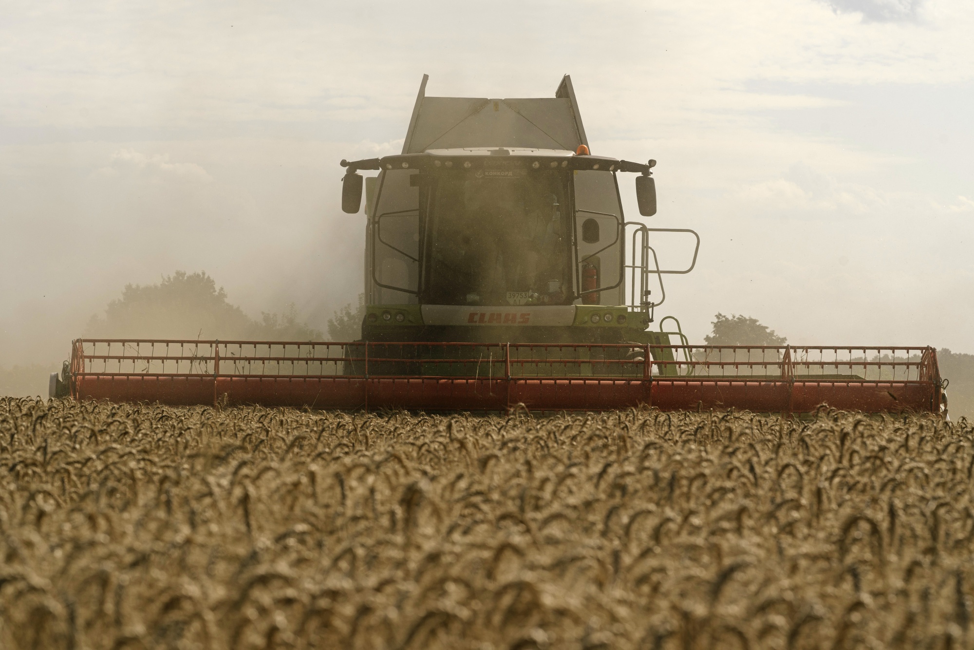 How to Defeat Russia's Black Sea Grain Blockade Bloomberg