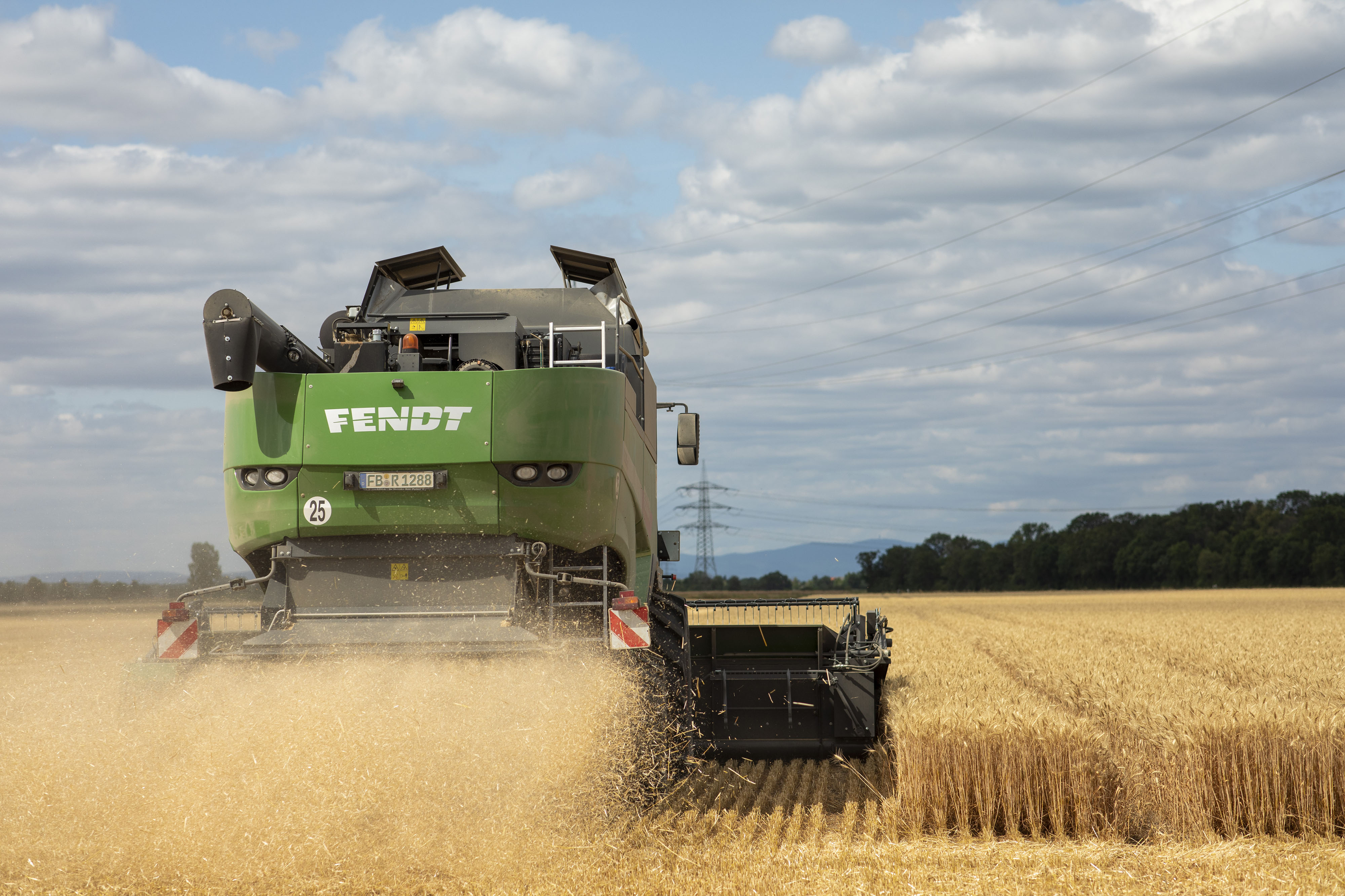 A wheat harvest in Riedstadt, Germany following at heatwave, July 9..&nbsp;