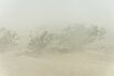 Dust Storm