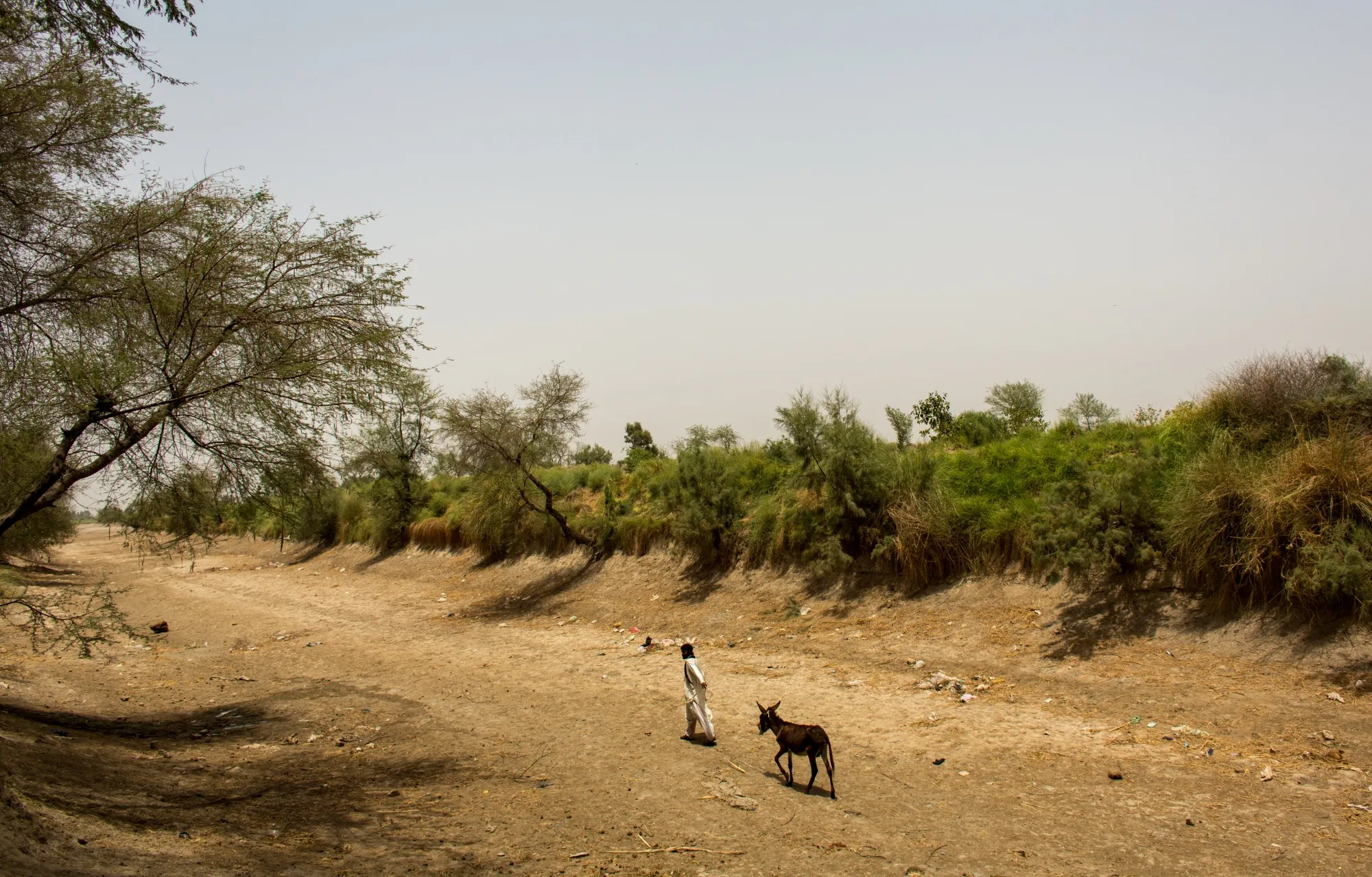 A man walks with his donkey through a dried canal during a heat wave in Jacobabad on&nbsp;May. 27.