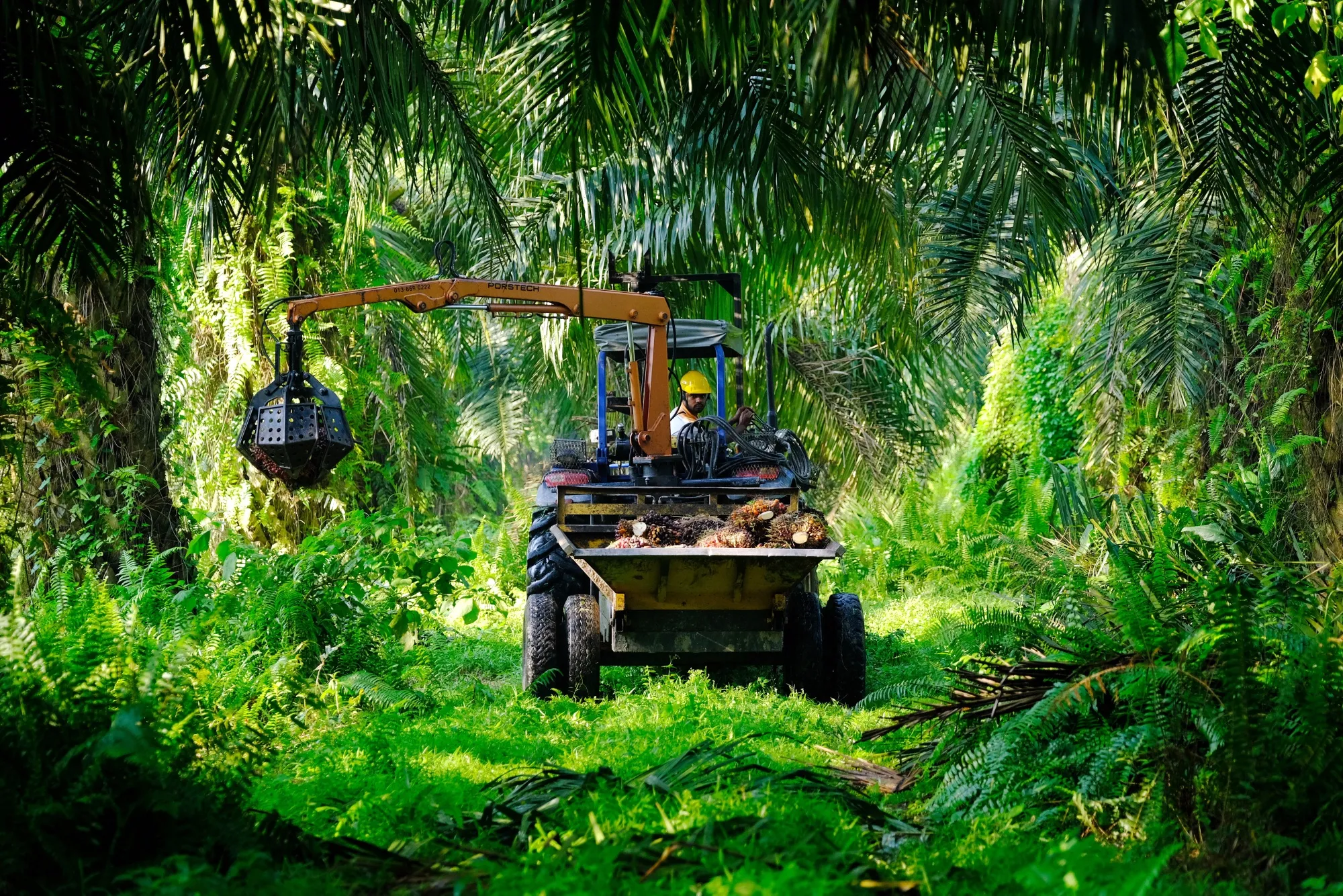 A worker operates a tractor mounted grabber while harvesting palm oil fruit bunches at a plantation in Kapar, Selangor, Malaysia