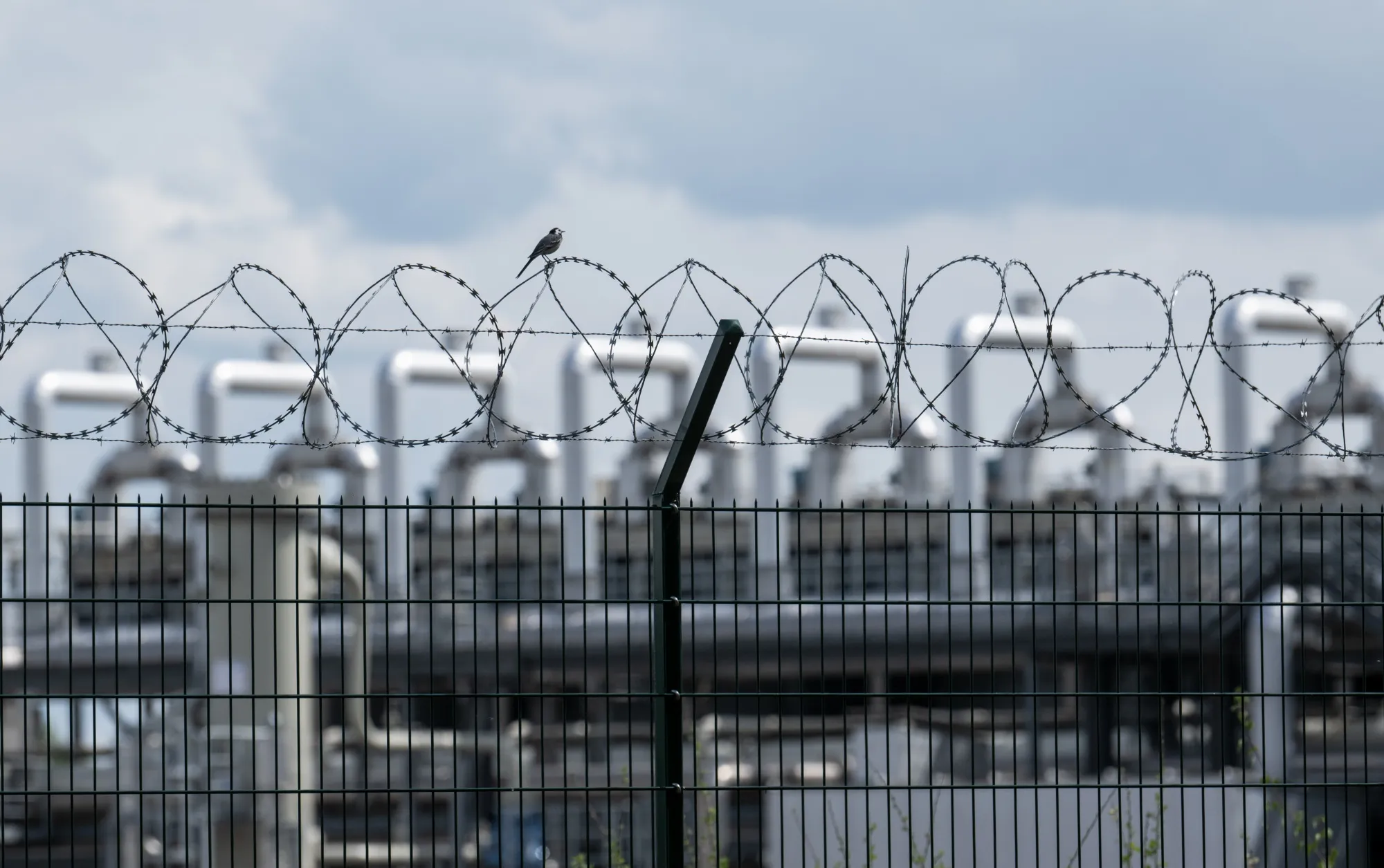 Better than no sanctions at all.