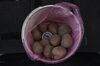 Ukraine fiscal officers confiscated a bag of potatoes with caviar hidden inside. There’s a $375 per-person limit for the value of goods each time they cross.