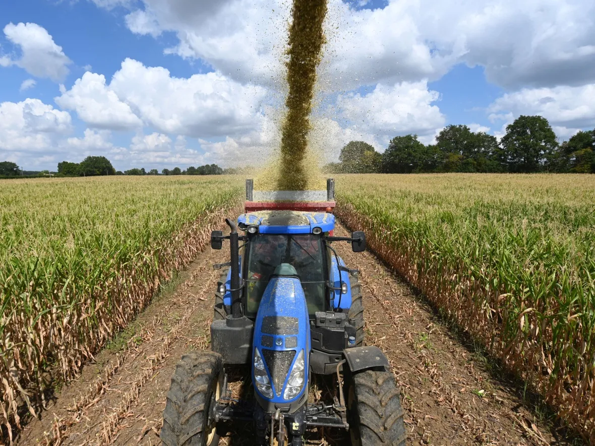 A farmer harvests corn in Courceboeuf, northwestern France in August.