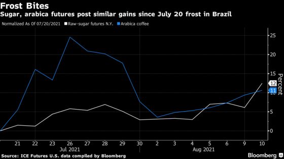 Sugar CEO Says Wild Weather Will Extend Sweetener’s Price Boom