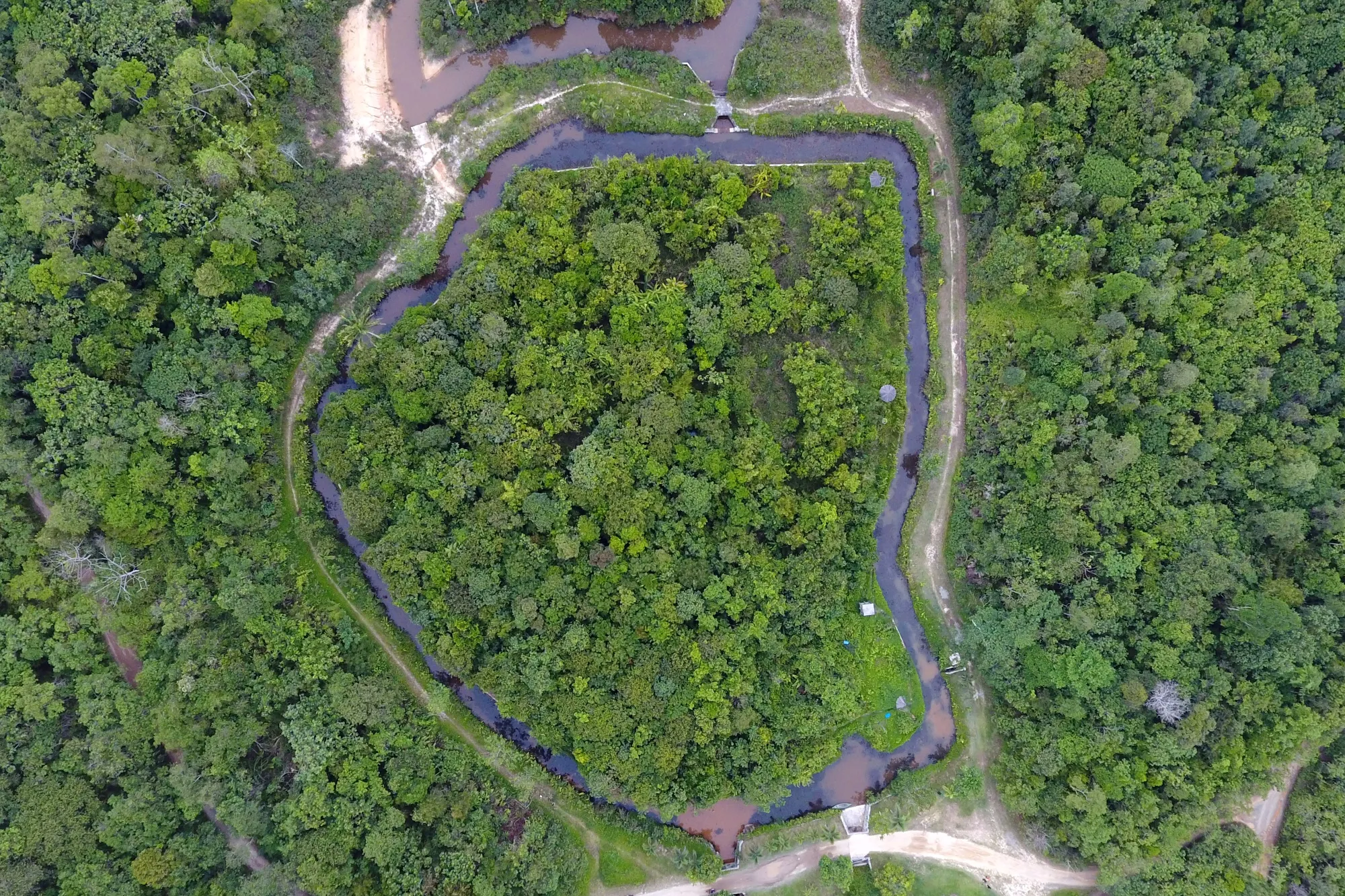 Moving Indonesia's Capital To The Jungle