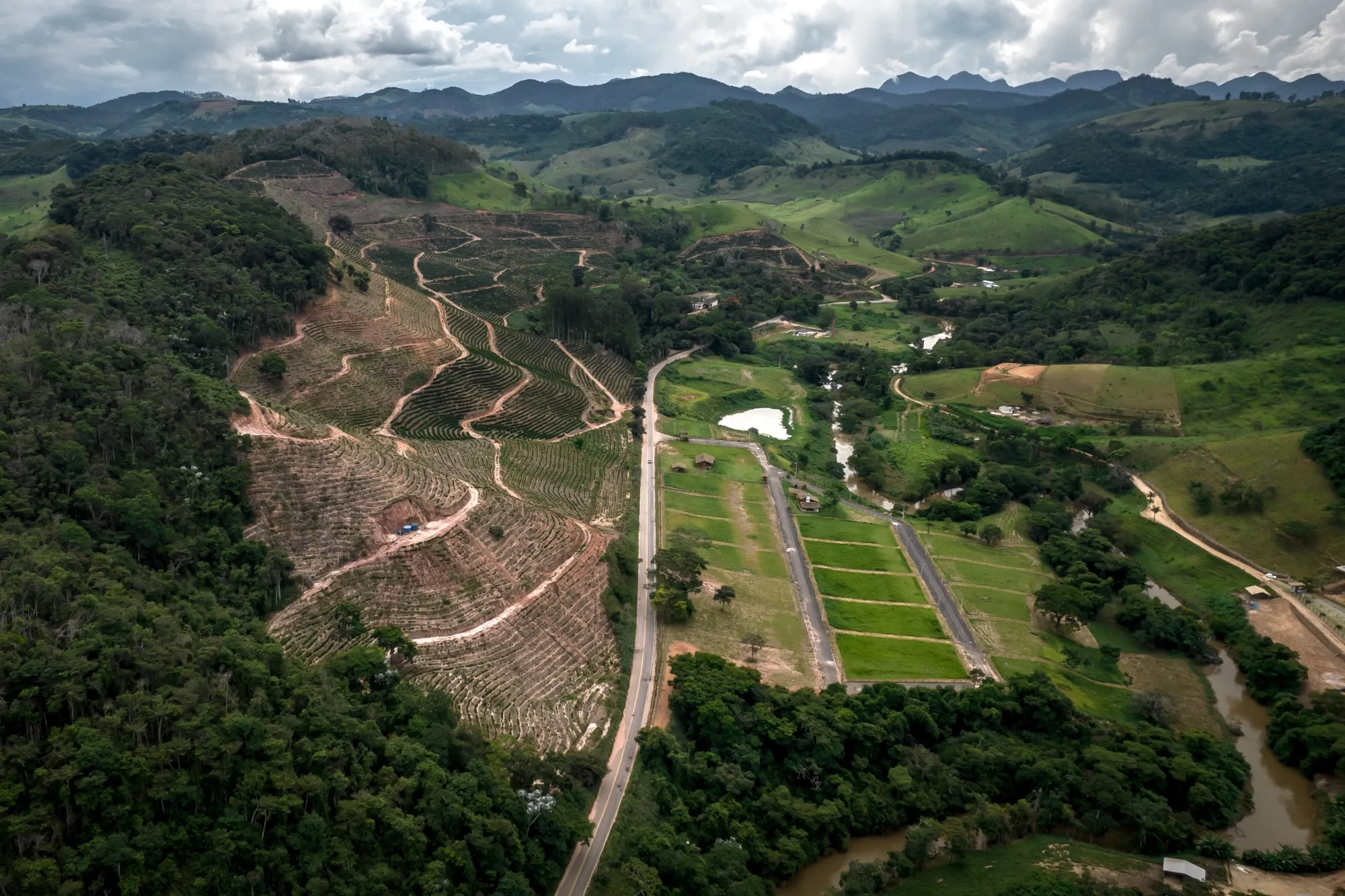 A coffee plantation in Minas Gerais state, Brazil.