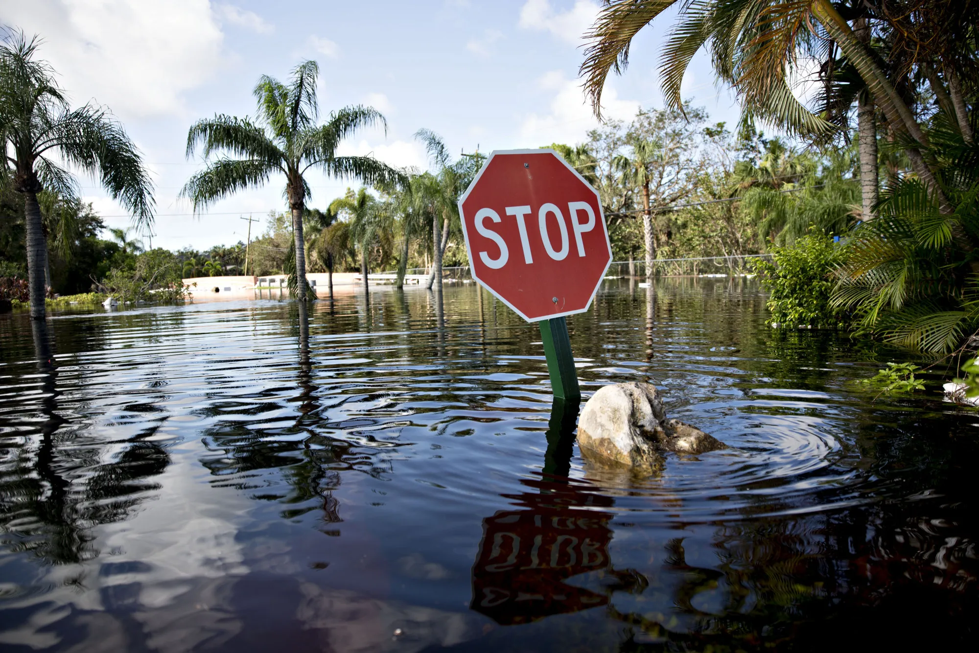 A stop sign stands above flood waters after Hurricane Irma struck in Bonita Springs, Florida in 2017.