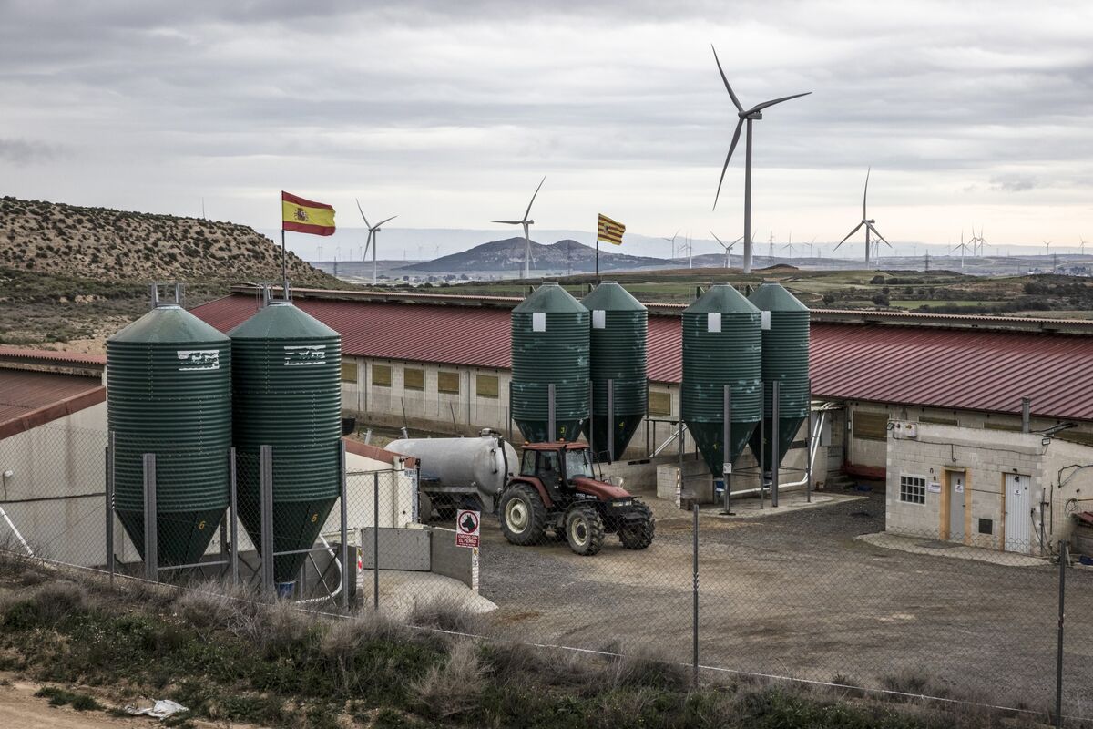 Iberdrola kupuje rozhodující podíl v největší finské distribuční síti za 2 miliardy eur