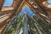 To Build a Happier City, Design for Density