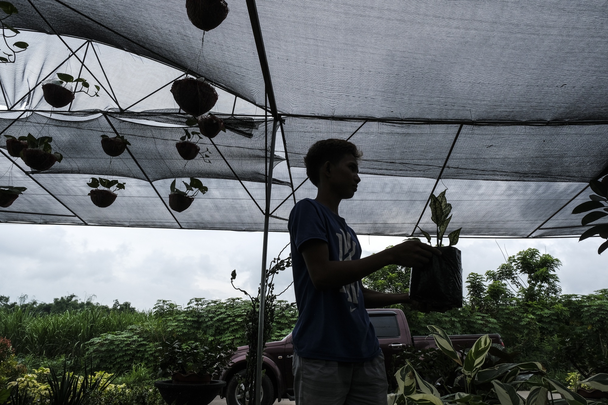 A vendor carries a plant in a nursery in Batangas, Philippines on Sept. 12.