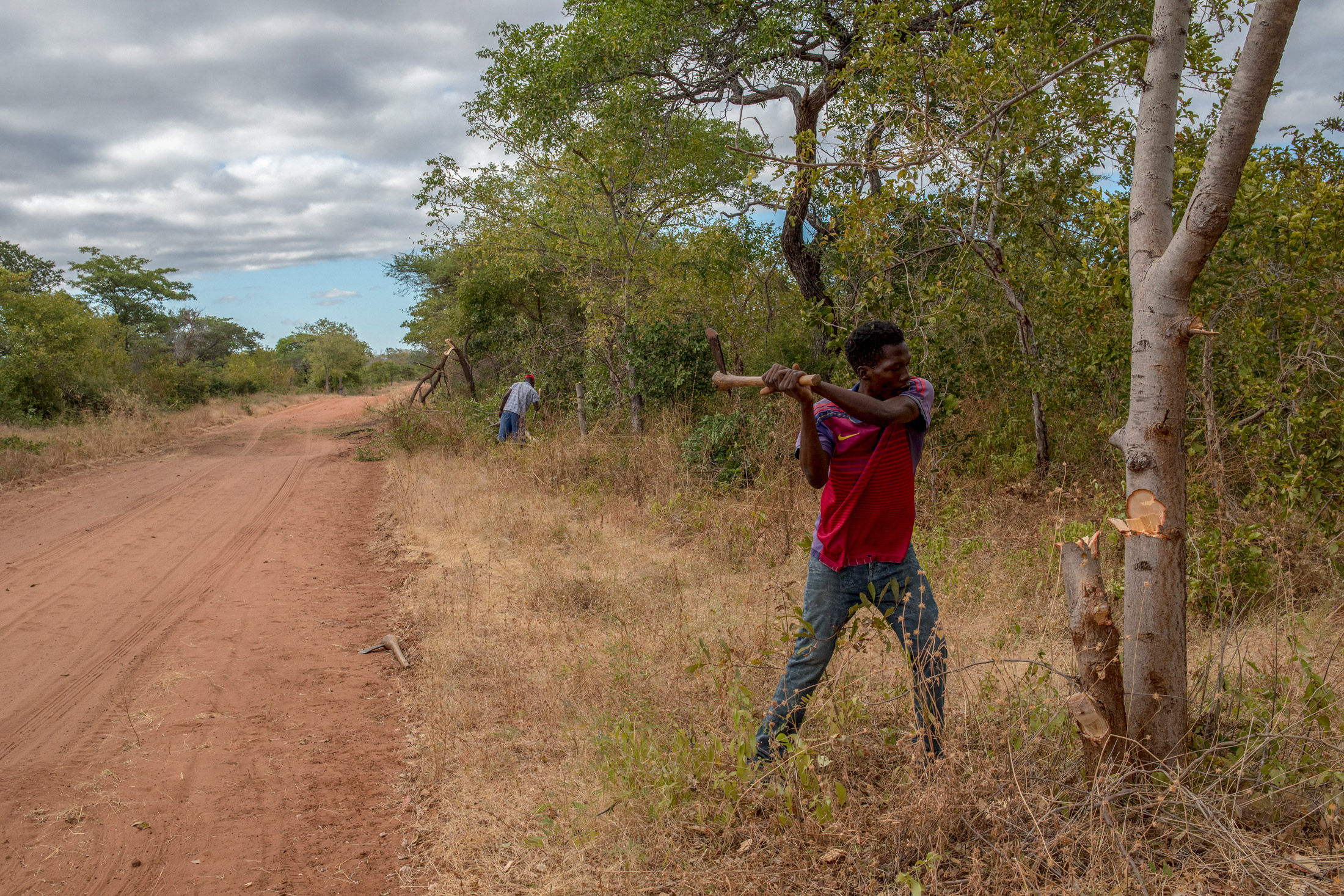 Volunteers clear&nbsp;vegetation that would otherwise stoke wildfires in forests around their village near&nbsp;Mbire, Zimbabwe. Their work is funded, in part, by the sale of fossil fuel thousands of miles away.