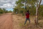 Volunteers clear vegetation that would otherwise stoke wildfires in forests around their village near Mbire, Zimbabwe. Their work is funded, in part, by the sale of fossil fuel thousands of miles away.