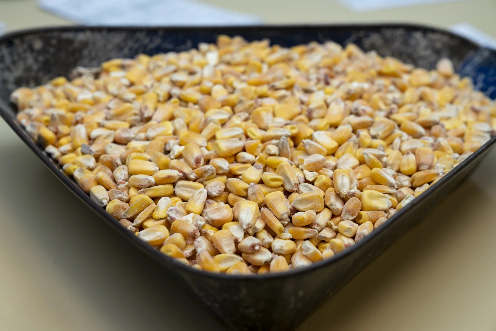 Centerra Co-op Grain Facility As USDA Releases WASDE Report 