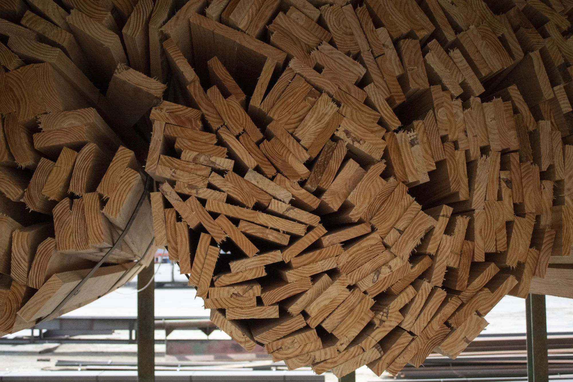 No One Was More Shocked By Lumber Mania Than Sawmill Operators