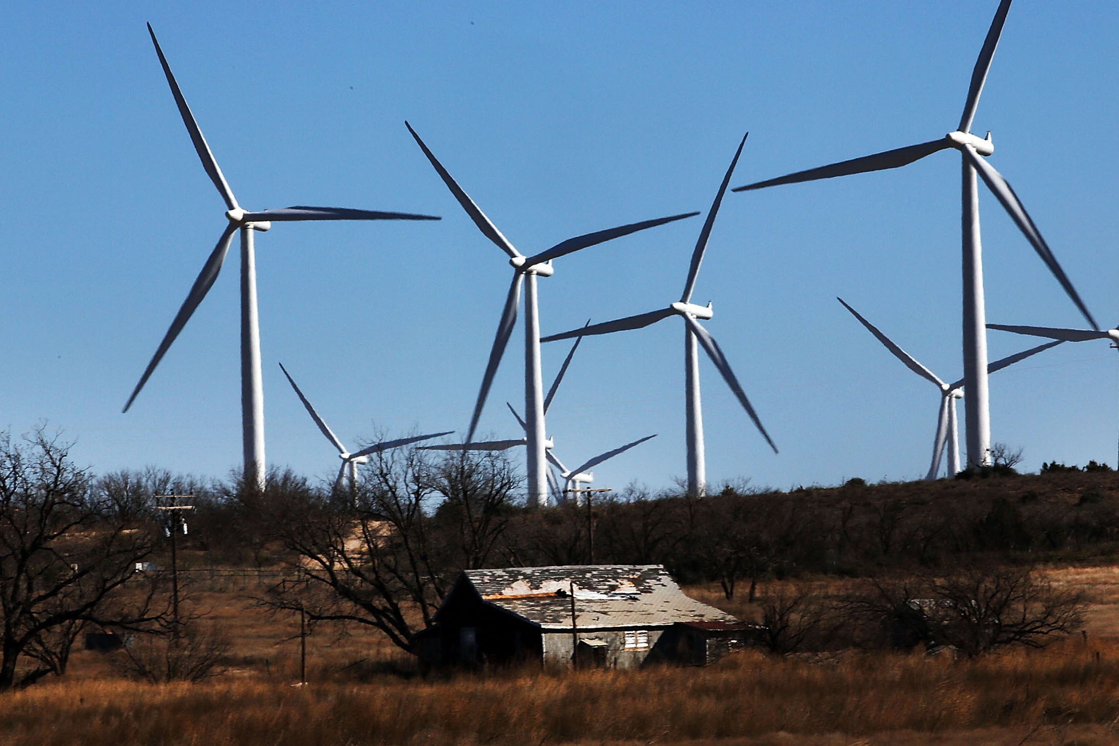 A wind farm in Colorado City, Texas, on Jan. 21, 2016.
