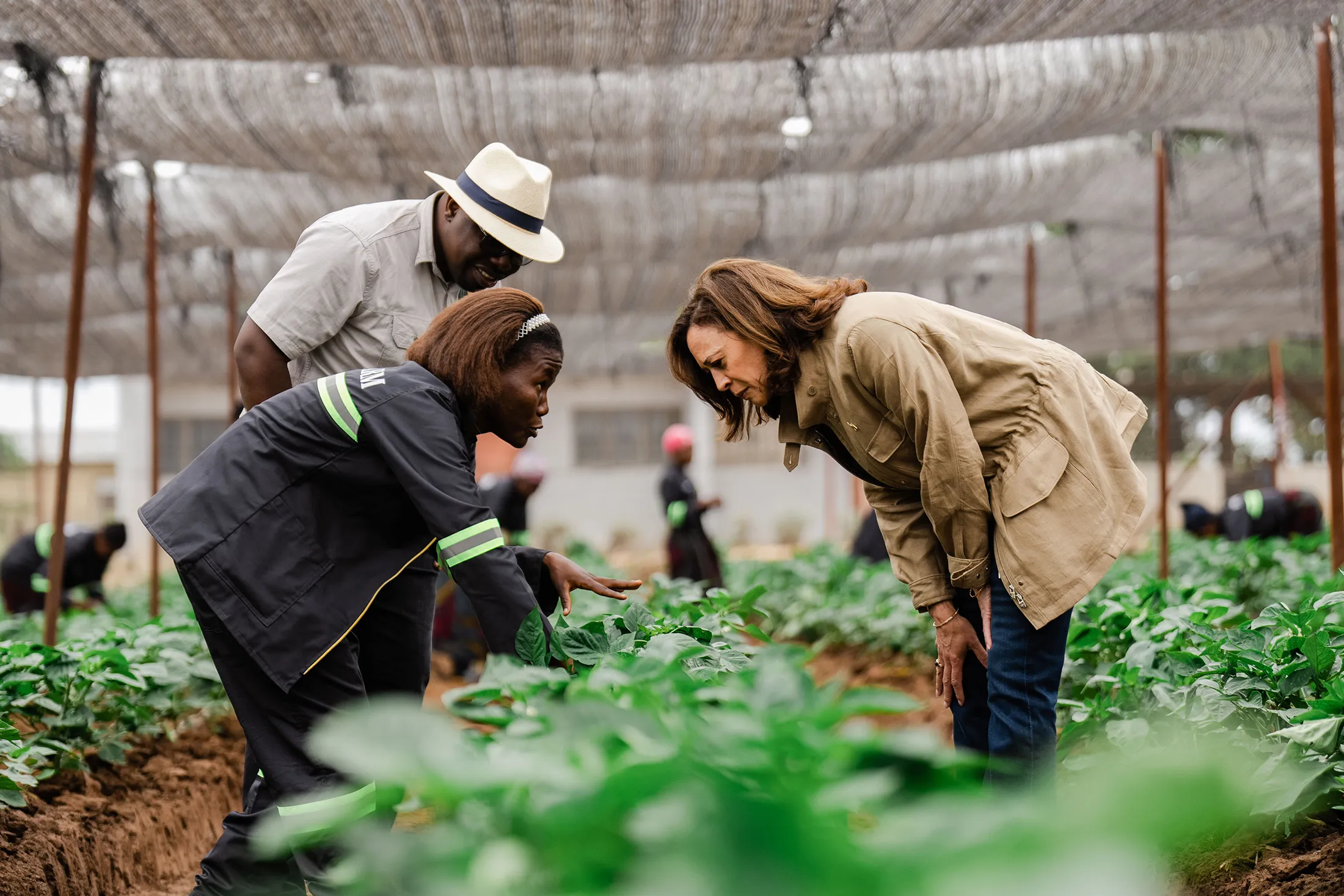 Panuka Vice President Kamala Harris Visits Farm in Africa - Bloomberg