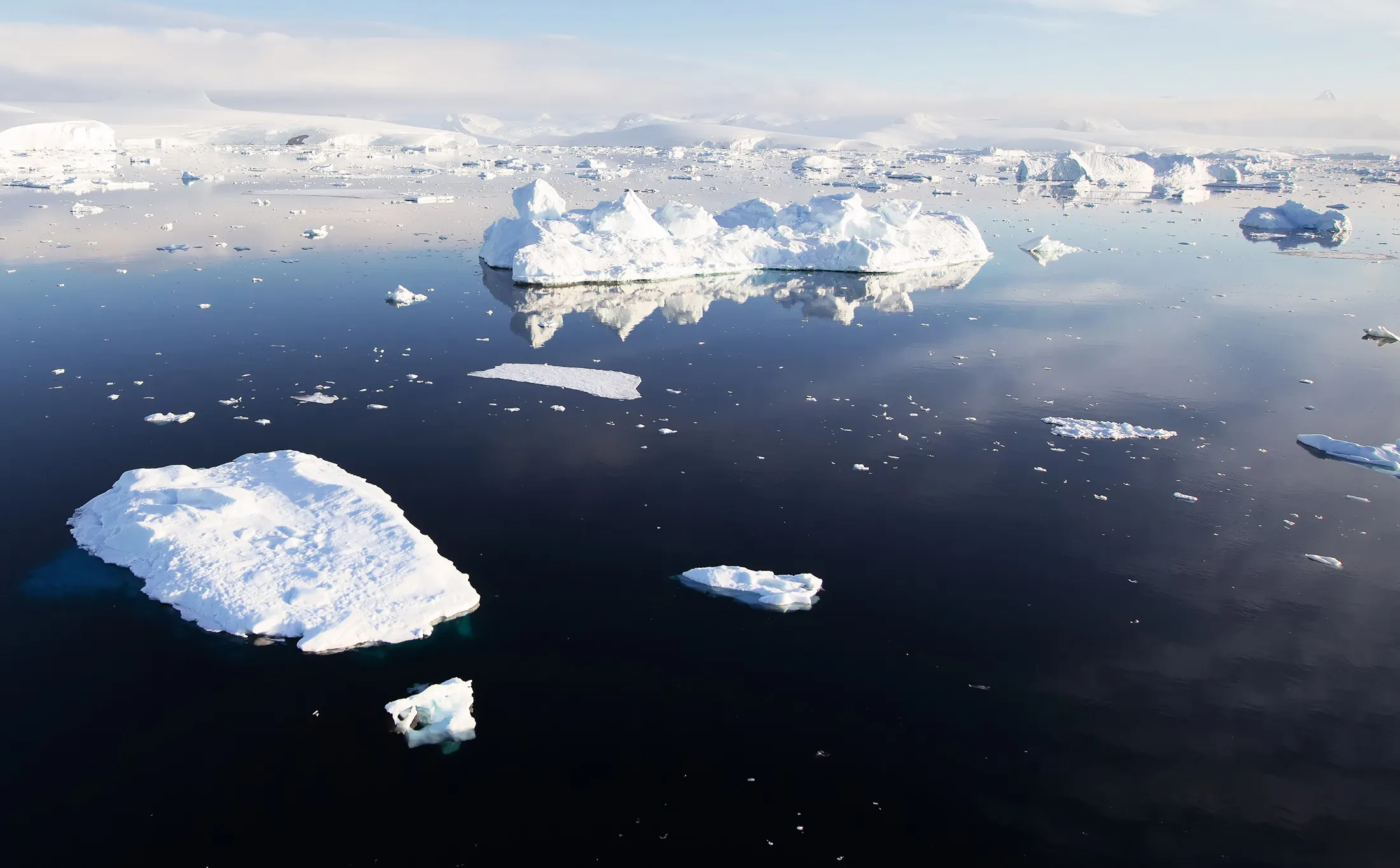 1487143494_RF_ICEBERG