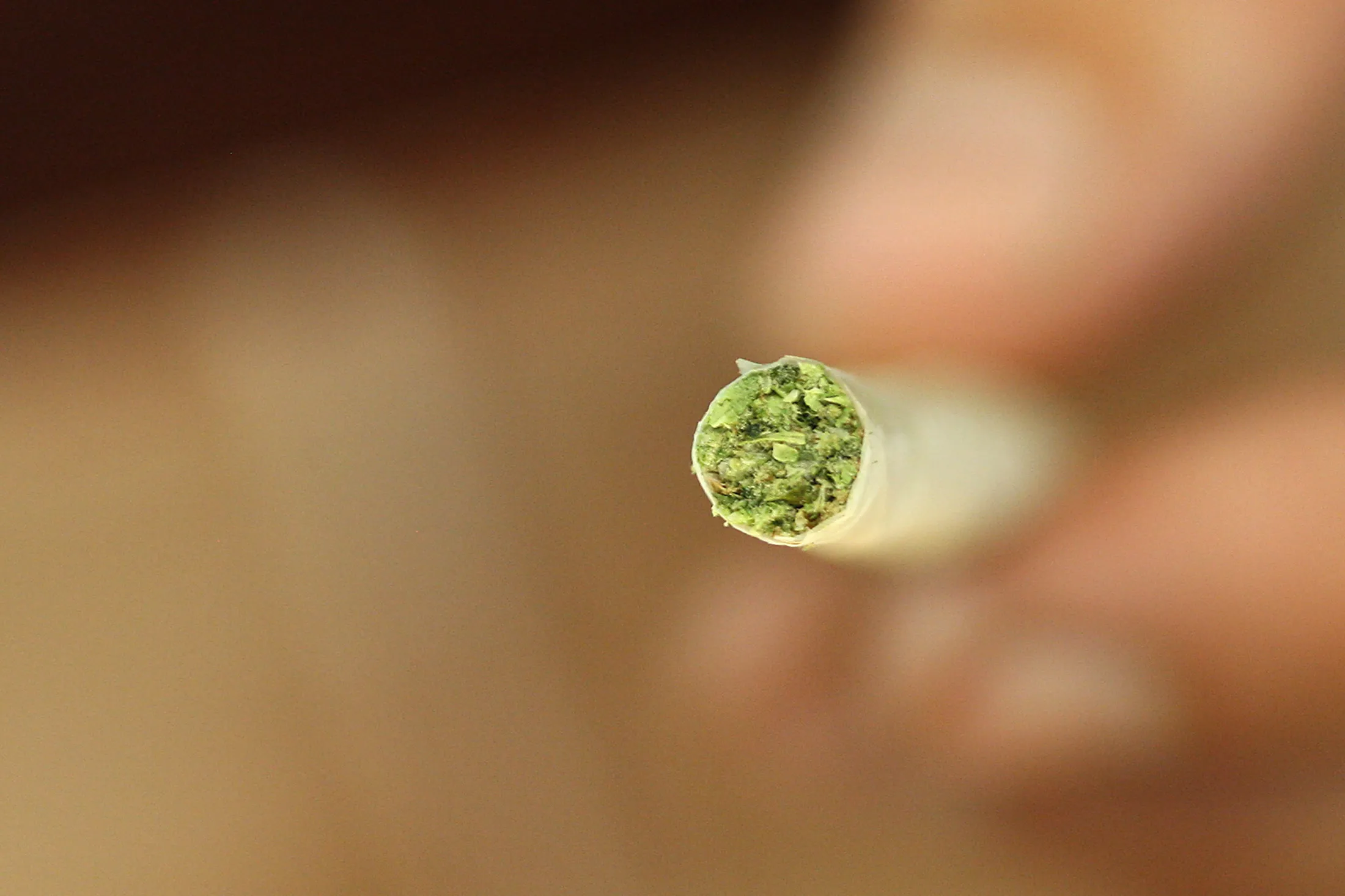 1496649226_CALI_CANNABIS_LEDE