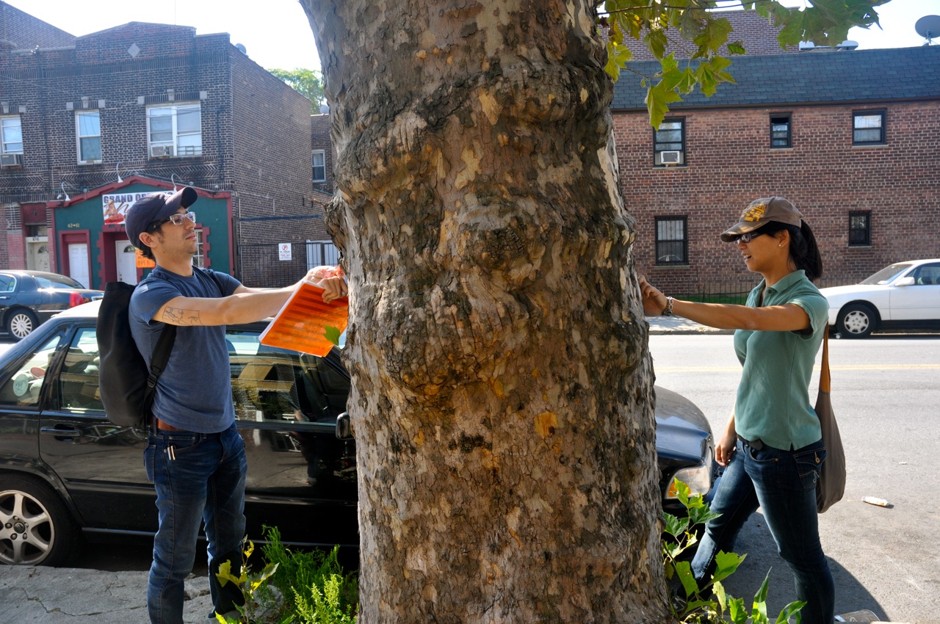 Philip Silva and Yi-Wen Lin with a London plane tree in Queens.
