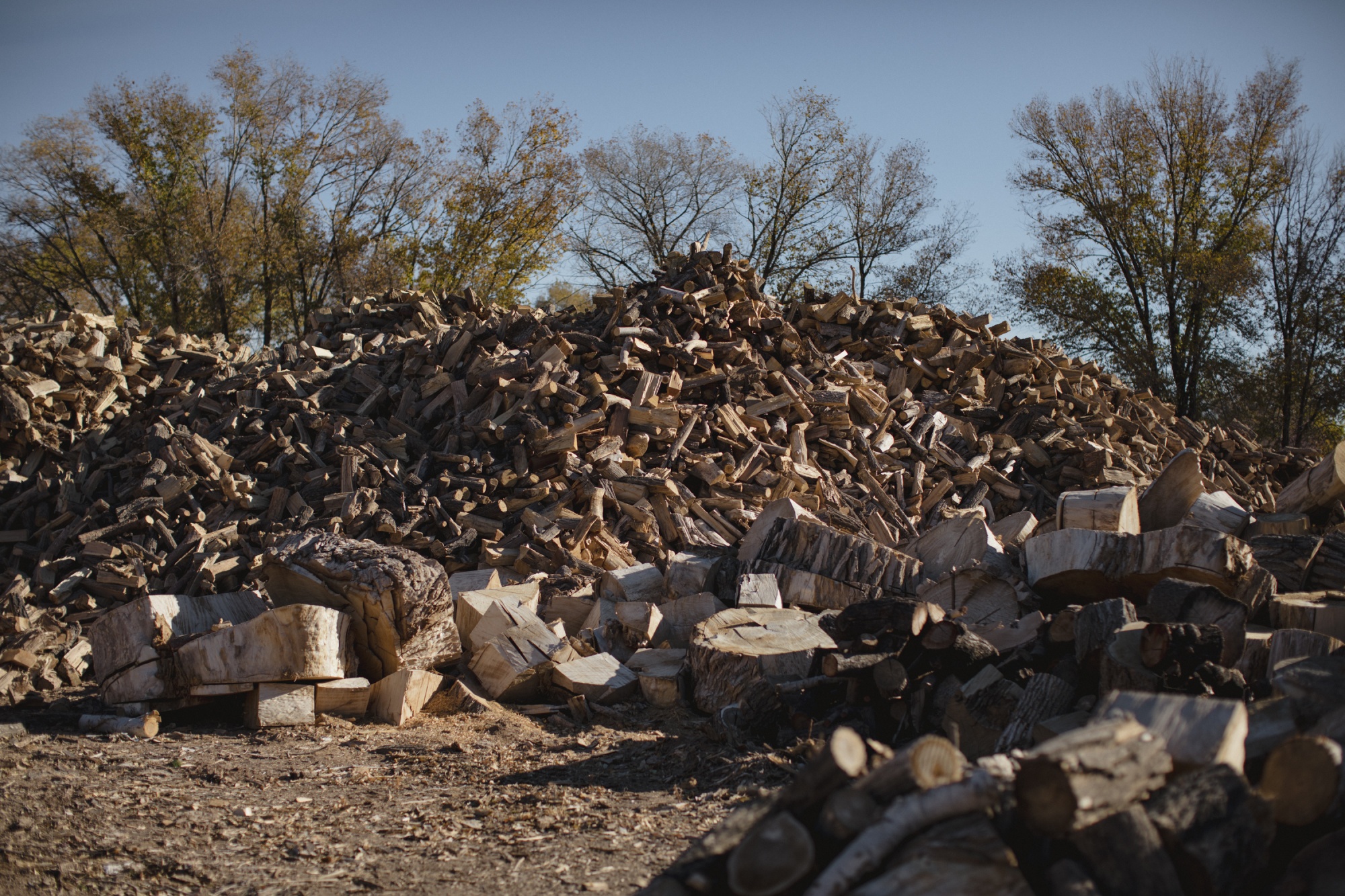 Soaring Fuel Prices Stoke Rush to Stockpile Firewood Across U.S. - Bloomberg