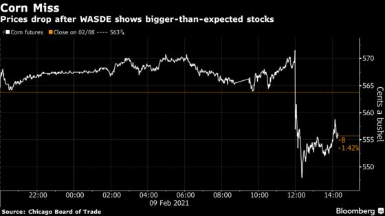 Corn Declines After U.S. Cuts Supply Outlook Less Than Forecast