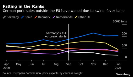 Germany Tops 1,000 Swine Fever Cases as Virus Fight Drags On