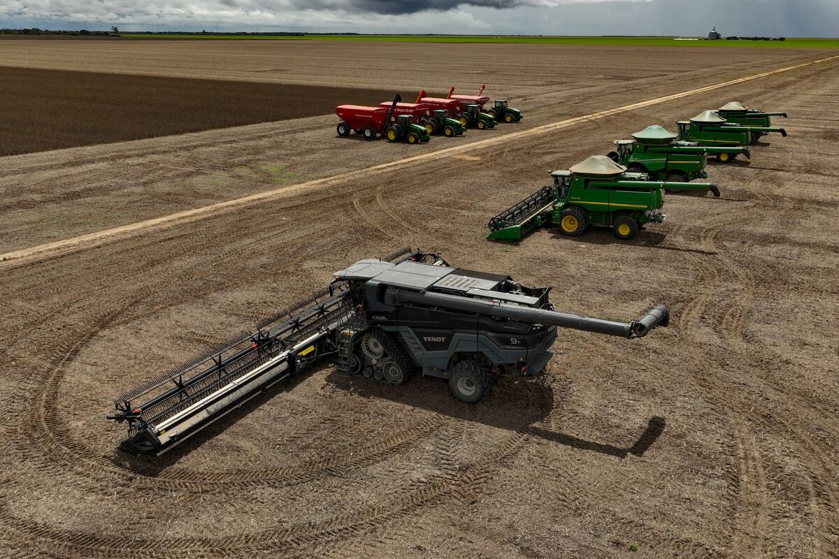 Banco do Brasil Weighs Farmer Relief Amid War, Capital Risk