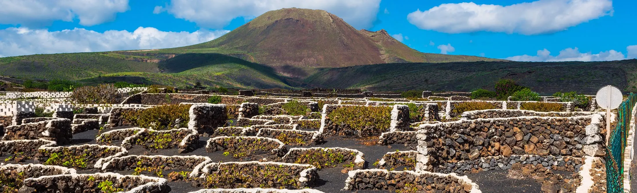 Vineyard on Lanzarote, Canary Islands, Spain.
