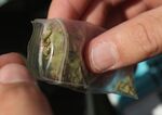 Cannabis is removed from a bag&nbsp;in Berlin