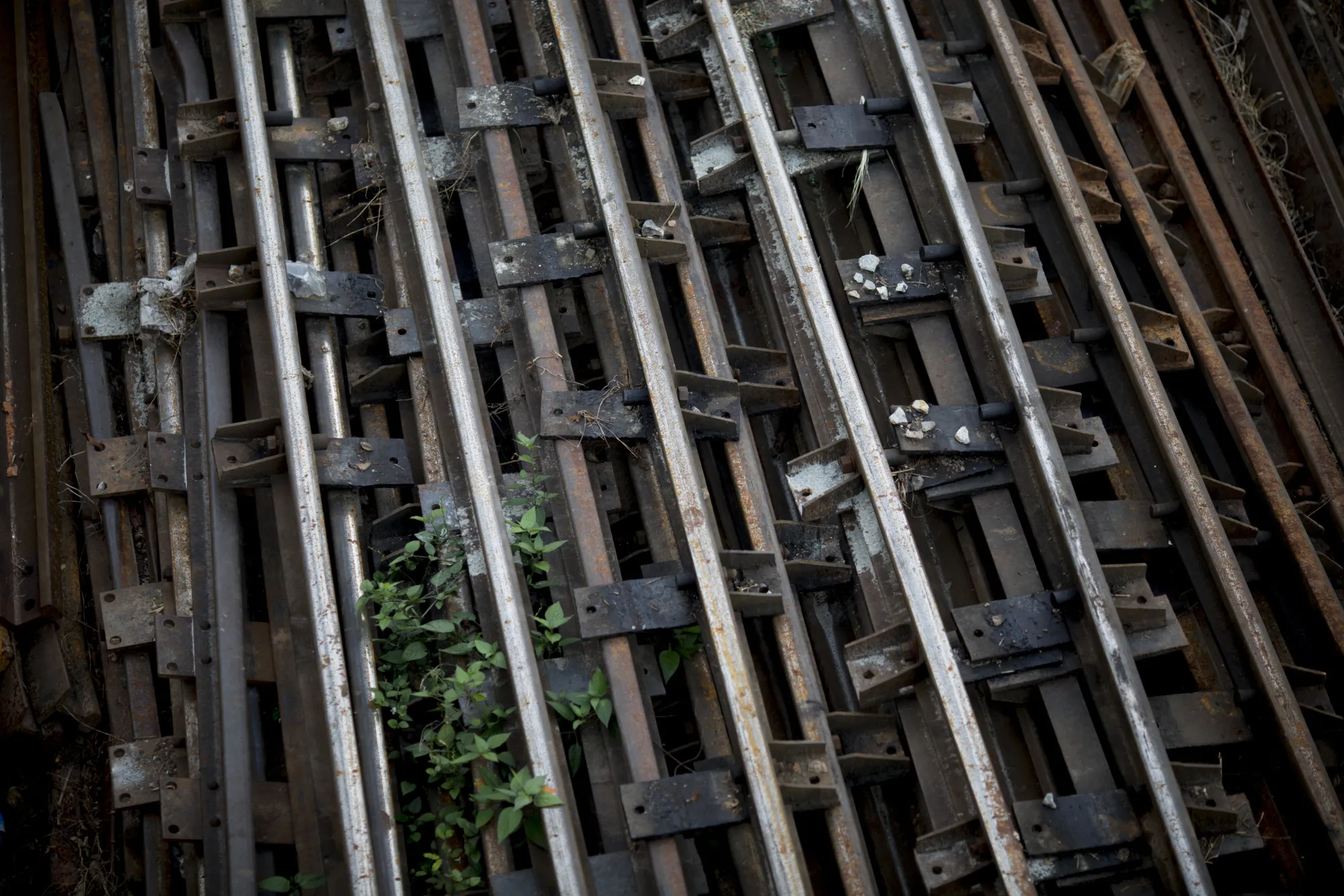Operations of the Yangon Circular Railway