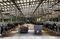Cattle Shed