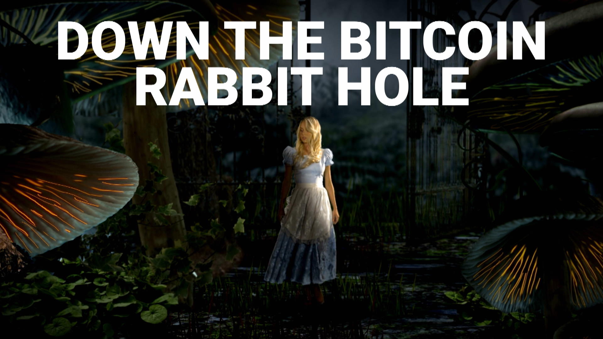 Down the Bitcoin Rabbit Hole