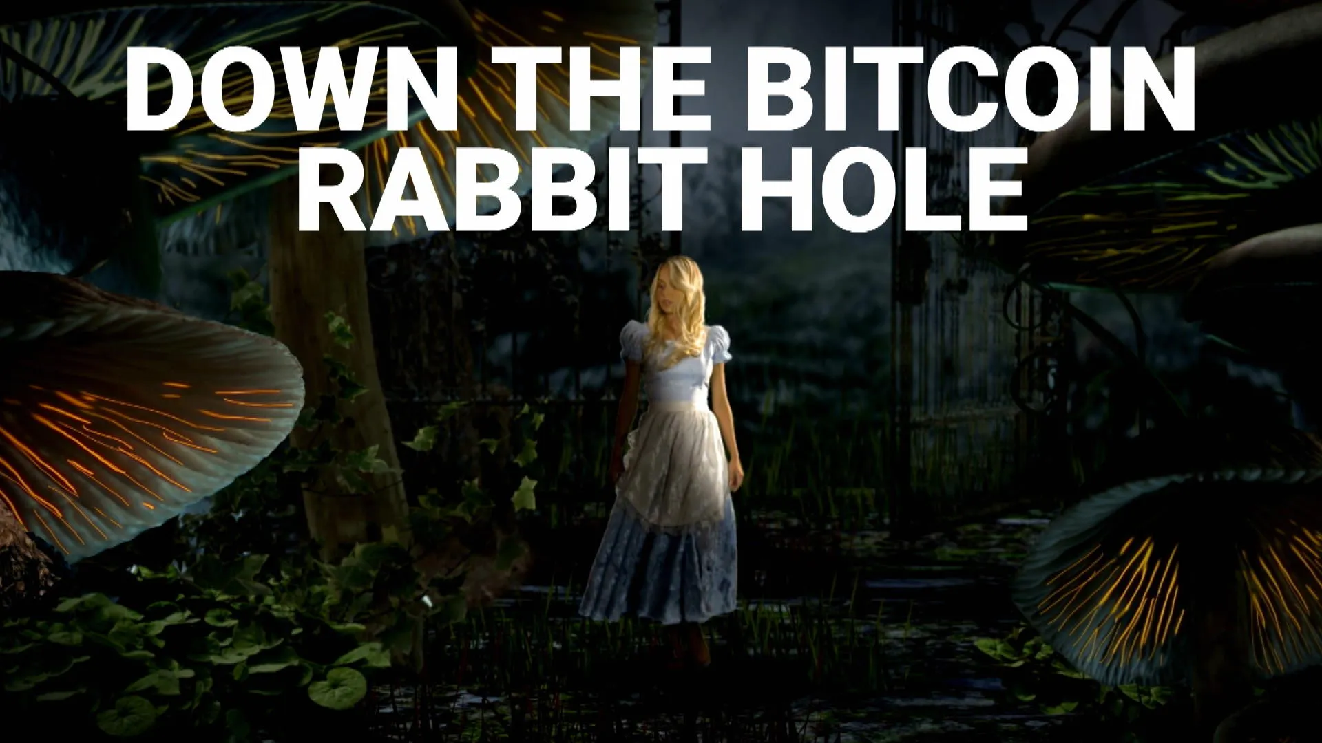 Watch Down the Bitcoin Rabbit Hole - Bloomberg