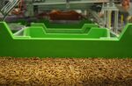 Mealworms sit in trays in the Ynsect workshop in Burgundy, France.