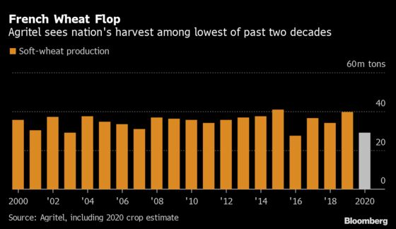Europe’s Wilted Wheat Leaves World Hunting Elsewhere for Grain