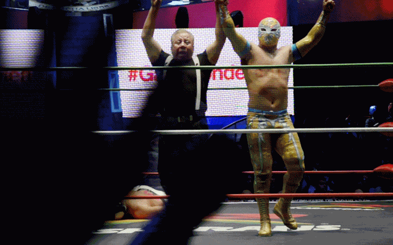 1515171226_luchador-gifs-4-hp