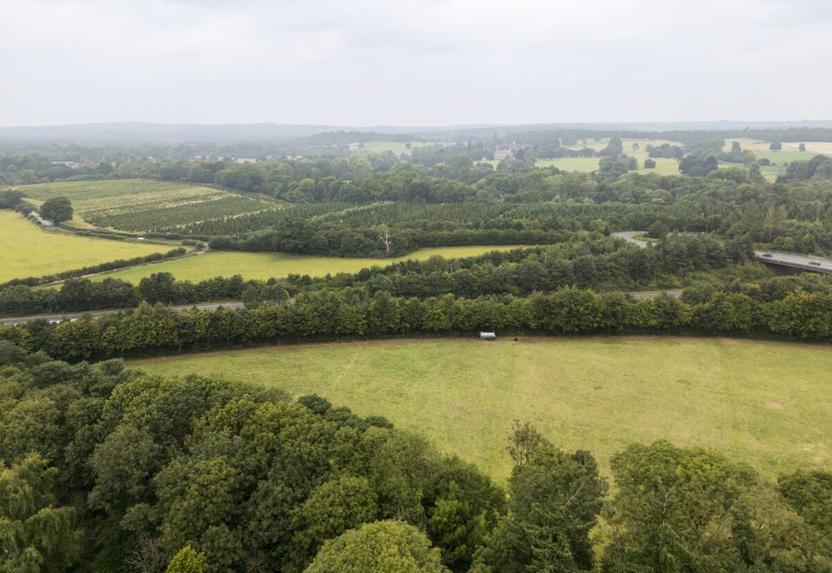 Wooden Housing Is No Fairy Tale for Britain