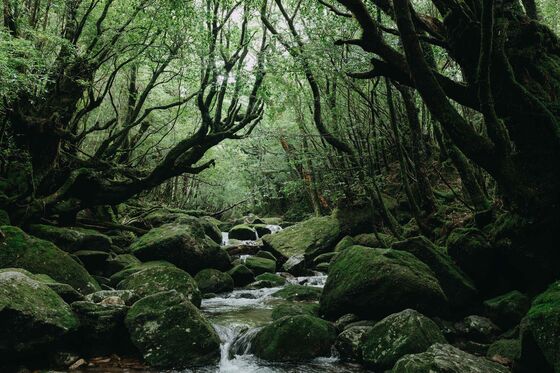 Deepak Chopra Predicts The Future of Wellness Travel After Covid