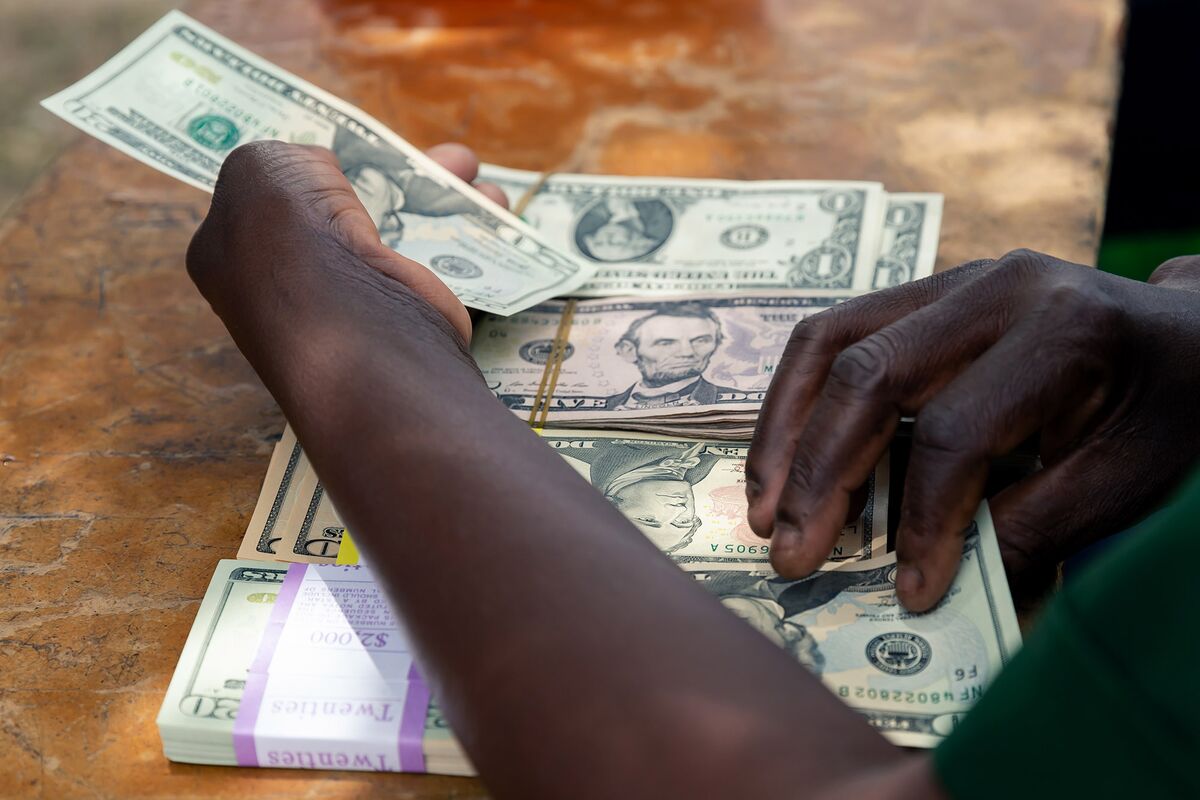 Zimbabwe’s Plan to Drop US Dollar in 2025 Seen as Non-Starter