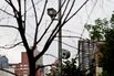 Speed Cameras Will Be Operational 24/7 In NYC