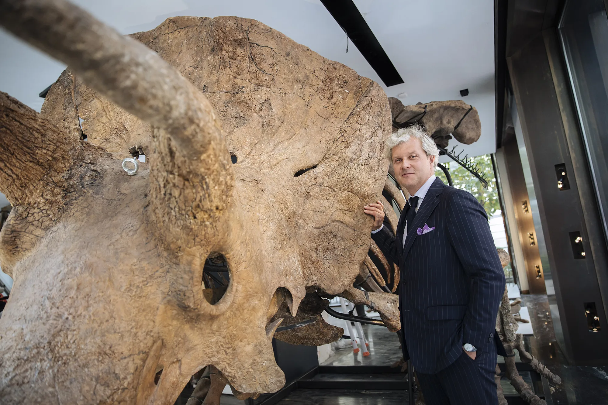Auctioneer Alexandre Giquello poses in front of Big John, the largest known triceratops skeleton, during assembly&nbsp;at&nbsp;a showroom in Paris, on&nbsp;Aug. 31.&nbsp;