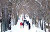 Heavy Snow Aims for Chicago, New York as Winter Comes East - Bloomberg