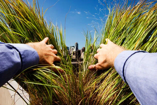 StumbleUpon's Mobile Ad Breakthrough