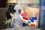 A technician works inside a fume cabinet in Covid-19 research laboratory at the African Health Research Institute in South Africa.
