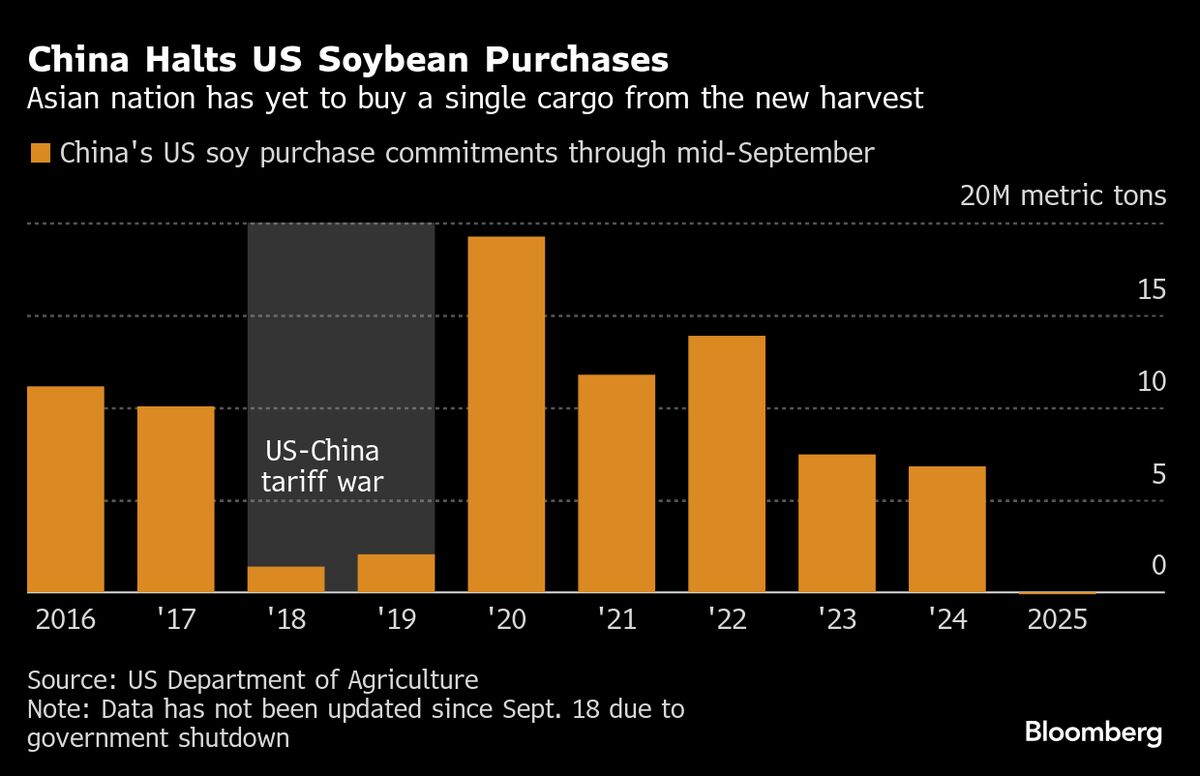 China Purchases First Cargoes of US Soybeans This Season