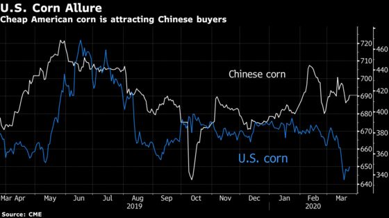 Cheap U.S. Corn Lures Chinese Buyers Seeking American Grain